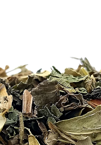 Tante Suzanne - La Philomène 100g - La Philomène - infusion vitalité