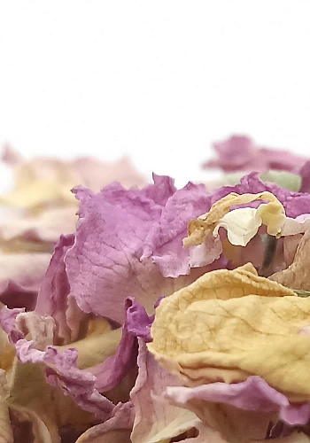 Tante Suzanne - Rose (pétales) 250g - Rose - Rosa damascena