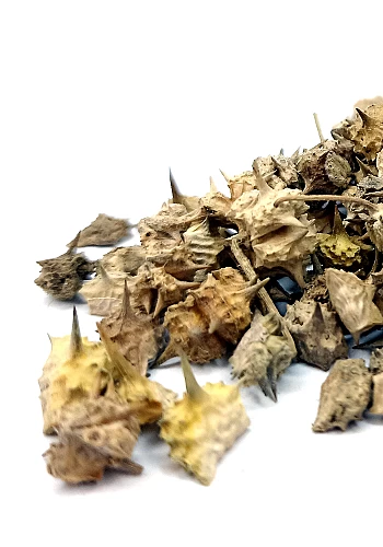 Tante Suzanne - Tribule terrestre 45g - Tribule terrestre - tribulus terrestris