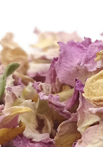 Tante Suzanne - Rose (pétales) 500g - Rose - Rosa damascena