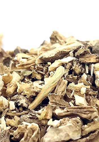 Tante Suzanne - Angélique 500g - Angélique - Angelica archangelica