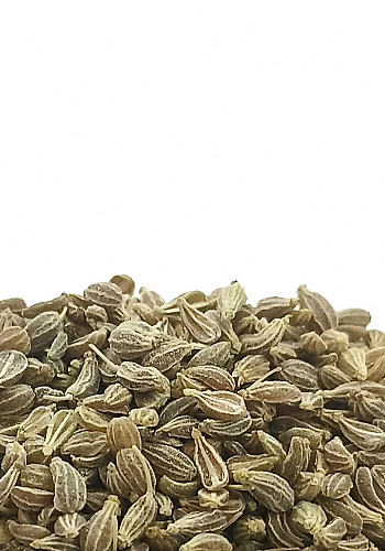 Tante Suzanne - Anis vert 100g - Anis vert - Pimpinella anisum
